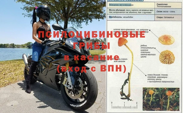 кокаин Алексеевка