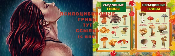кокаин Алексеевка