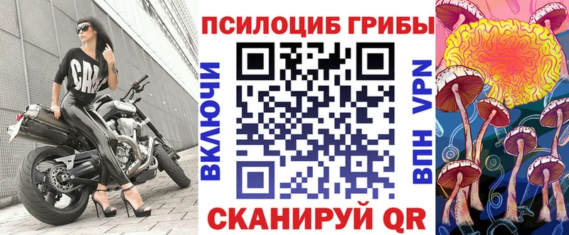 Галлюциногенные грибы Psilocybine cubensis  Крымск 
